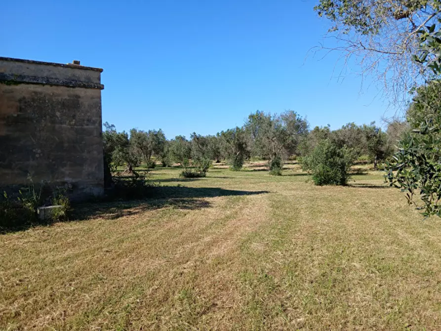Immagine 3 di Rustico / casale in vendita  in C.da Grottole a Latiano