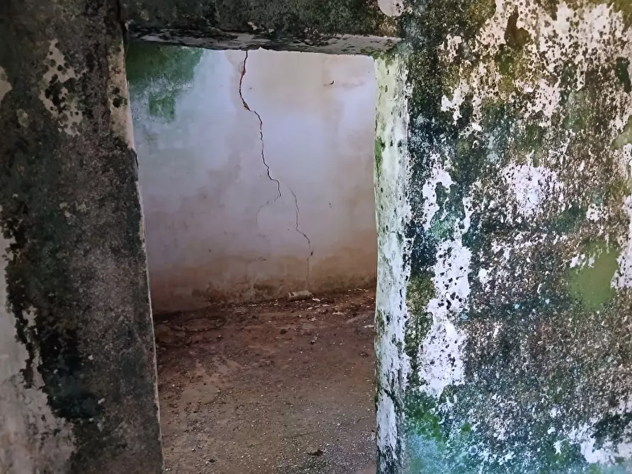 Immagine 7 di Rustico / casale in vendita  in C.da Grottole a Latiano