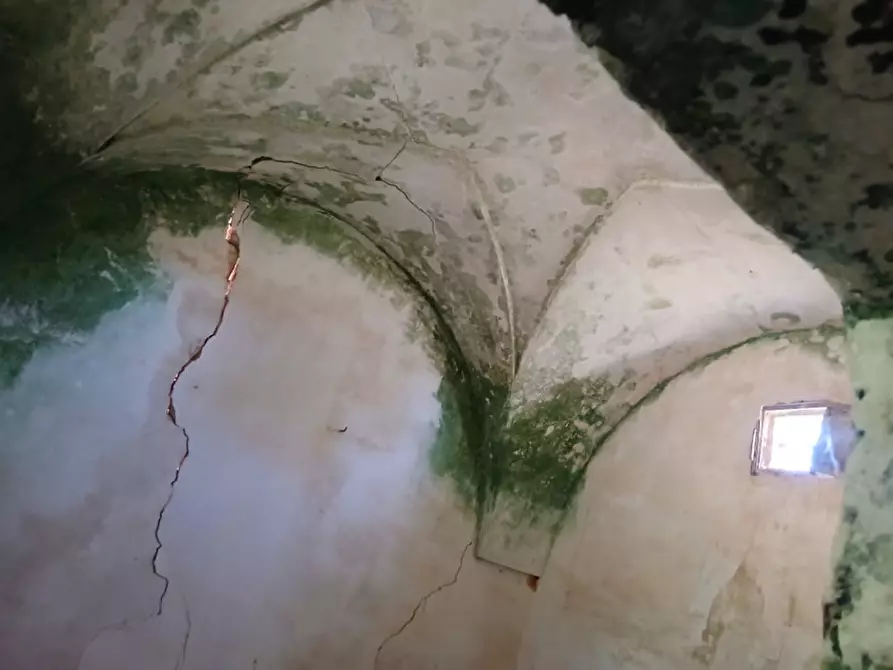 Immagine 8 di Rustico / casale in vendita  in C.da Grottole a Latiano