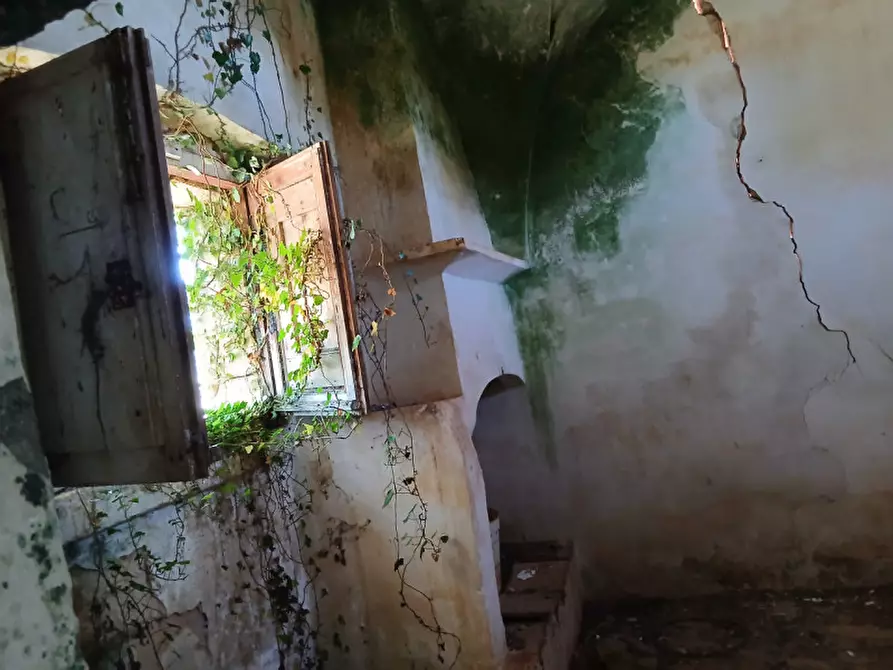 Immagine 10 di Rustico / casale in vendita  in C.da Grottole a Latiano