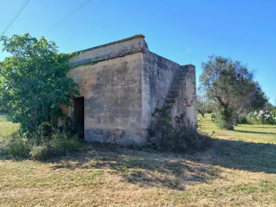 Immagine 12 di Rustico / casale in vendita  in C.da Grottole a Latiano