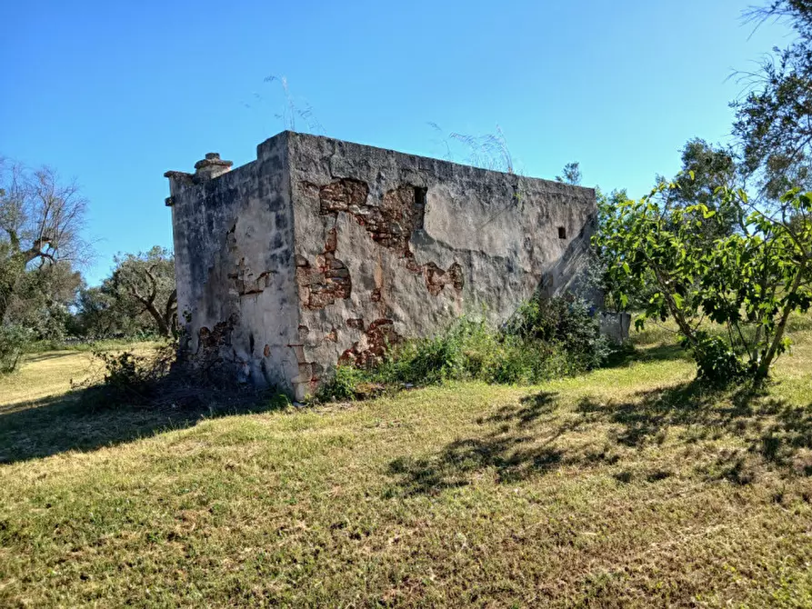 Immagine 14 di Rustico / casale in vendita  in C.da Grottole a Latiano