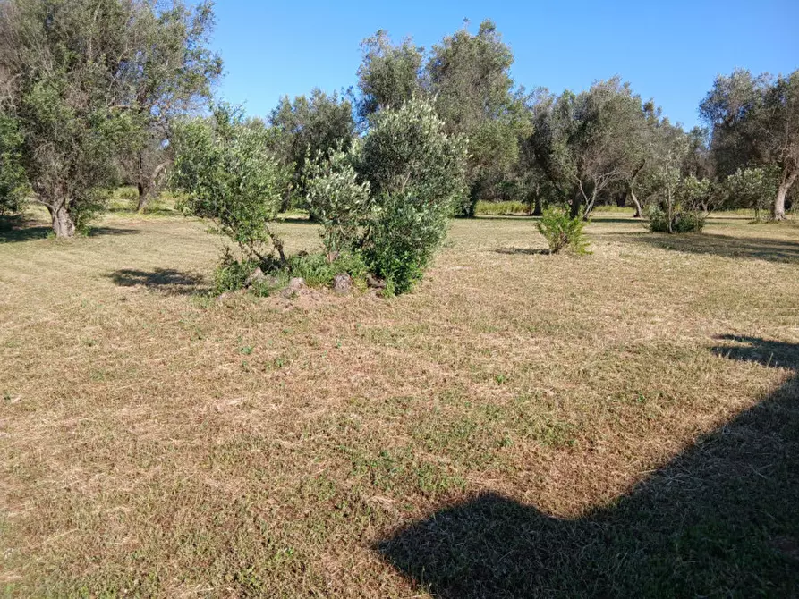 Immagine 17 di Rustico / casale in vendita  in C.da Grottole a Latiano