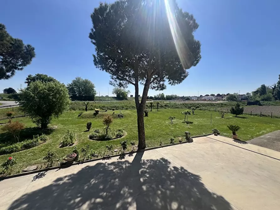 Immagine 22 di Casa indipendente in vendita  a Vigonovo