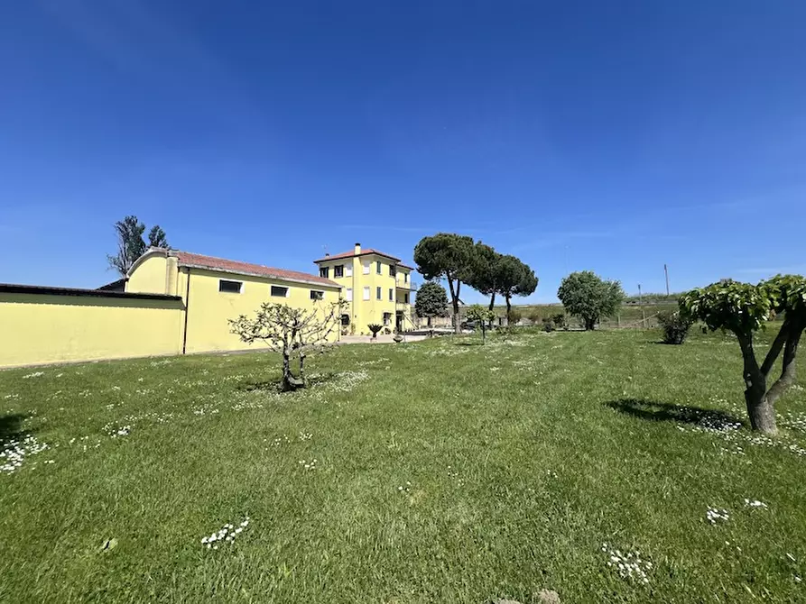 Immagine 36 di Casa indipendente in vendita  a Vigonovo