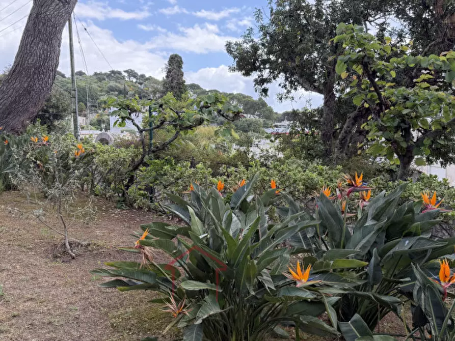 Immagine 2 di Casa indipendente in vendita  a Anacapri