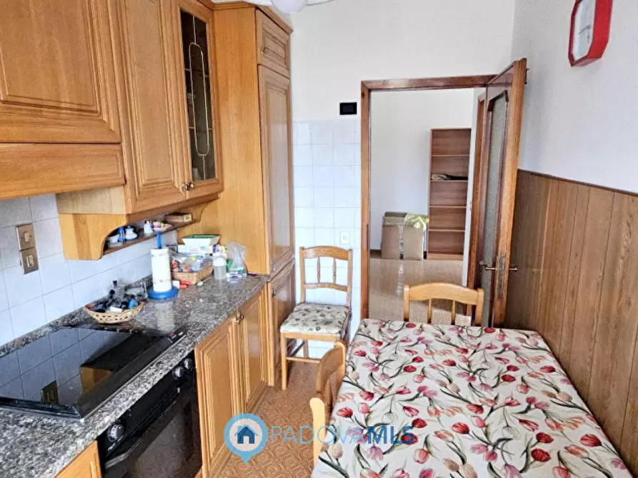 Immagine 4 di Appartamento in vendita  in Via Torquato Tasso a Noventa Padovana