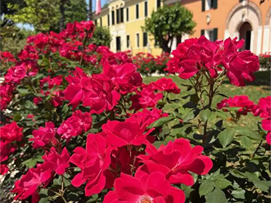 Immagine 1 di Villa in vendita  a Castelfranco Veneto