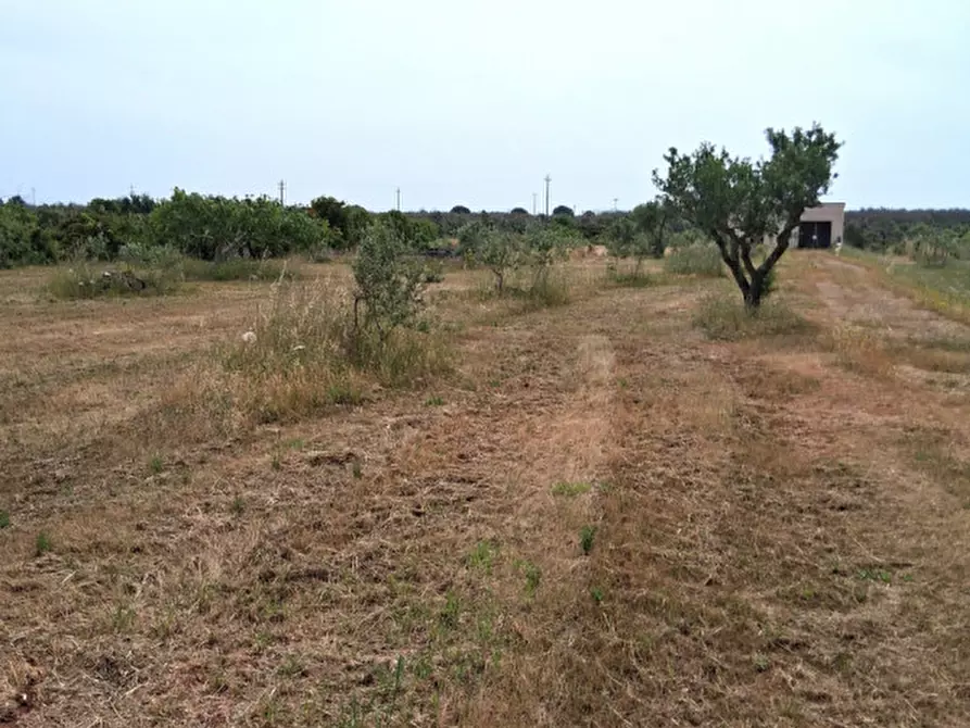 Immagine 1 di Terreno in vendita  in SP 332 a Presicce-Acquarica