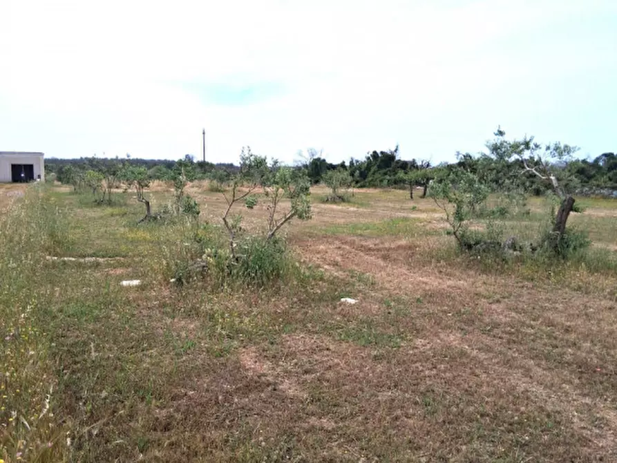 Immagine 2 di Terreno in vendita  in SP 332 a Presicce-Acquarica