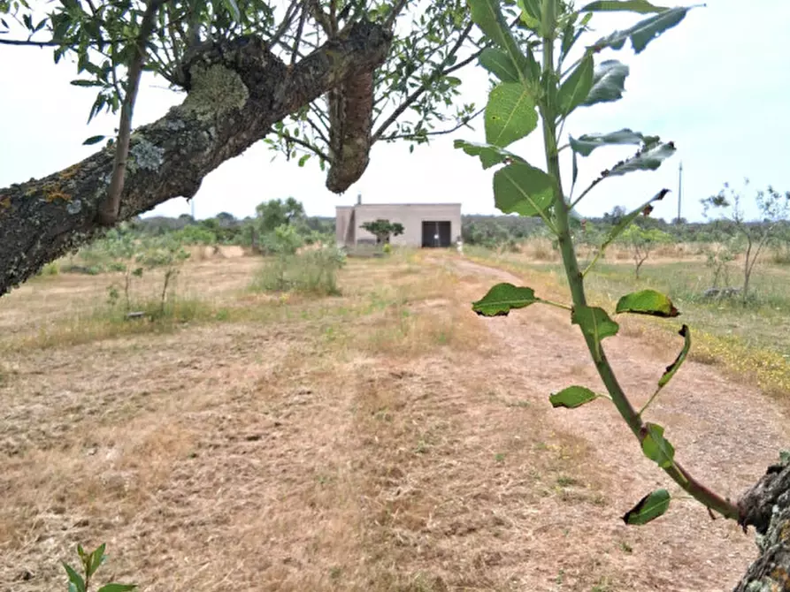 Immagine 3 di Terreno in vendita  in SP 332 a Presicce-Acquarica