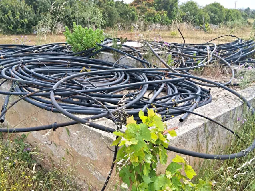 Immagine 5 di Terreno in vendita  in SP 332 a Presicce-Acquarica