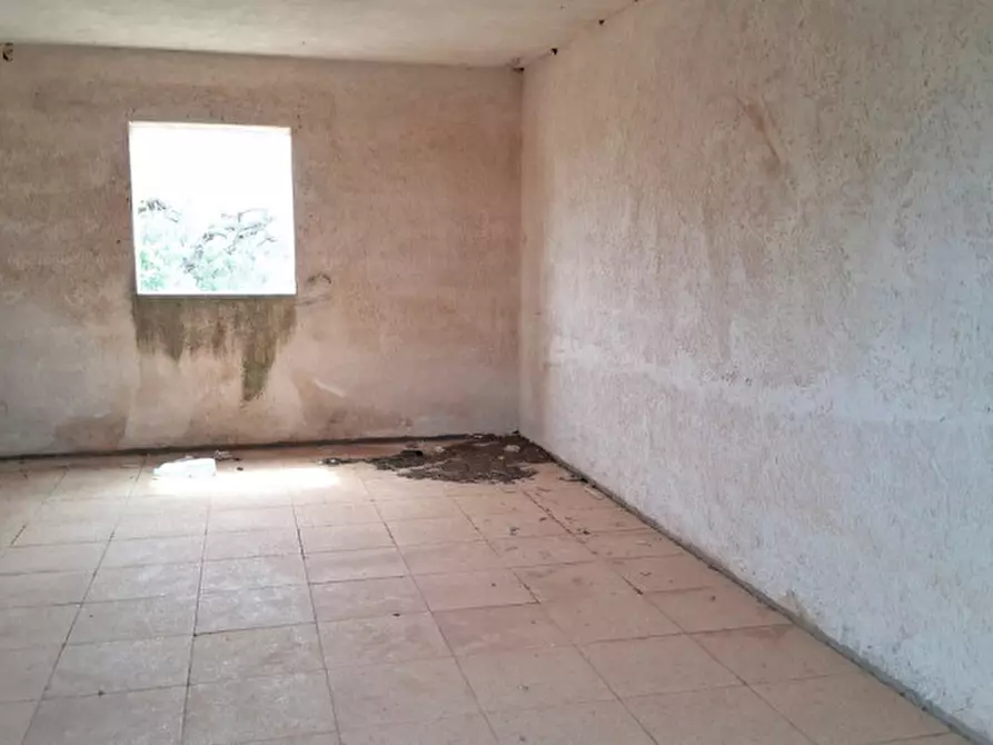 Immagine 8 di Terreno in vendita  in SP 332 a Presicce-Acquarica
