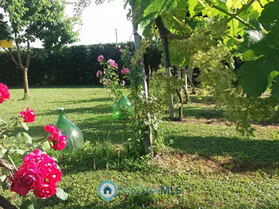Immagine 1 di Terreno in vendita  a Camponogara