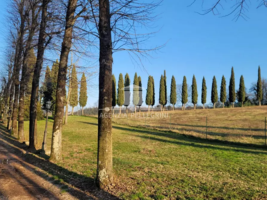 Immagine 3 di Villa in affitto  in Via Breganzola a Arcugnano