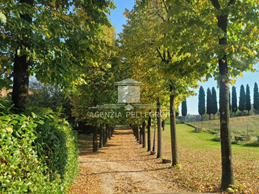 Immagine 9 di Villa in affitto  in Via Breganzola a Arcugnano