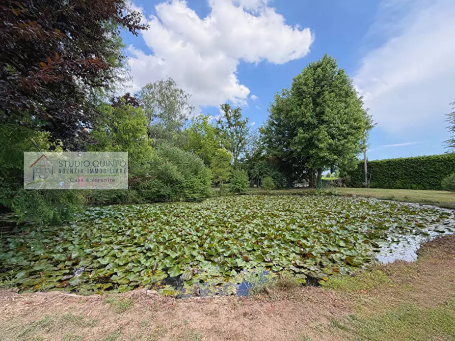 Immagine 1 di Attività commerciale in vendita  a Quinto Di Treviso