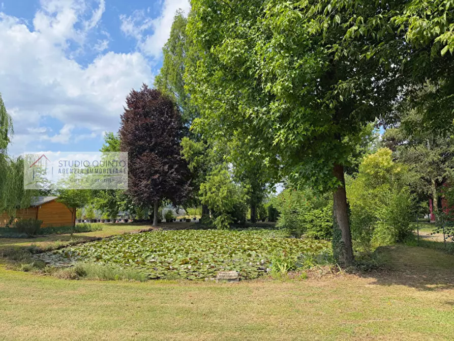 Immagine 3 di Attività commerciale in vendita  a Quinto Di Treviso