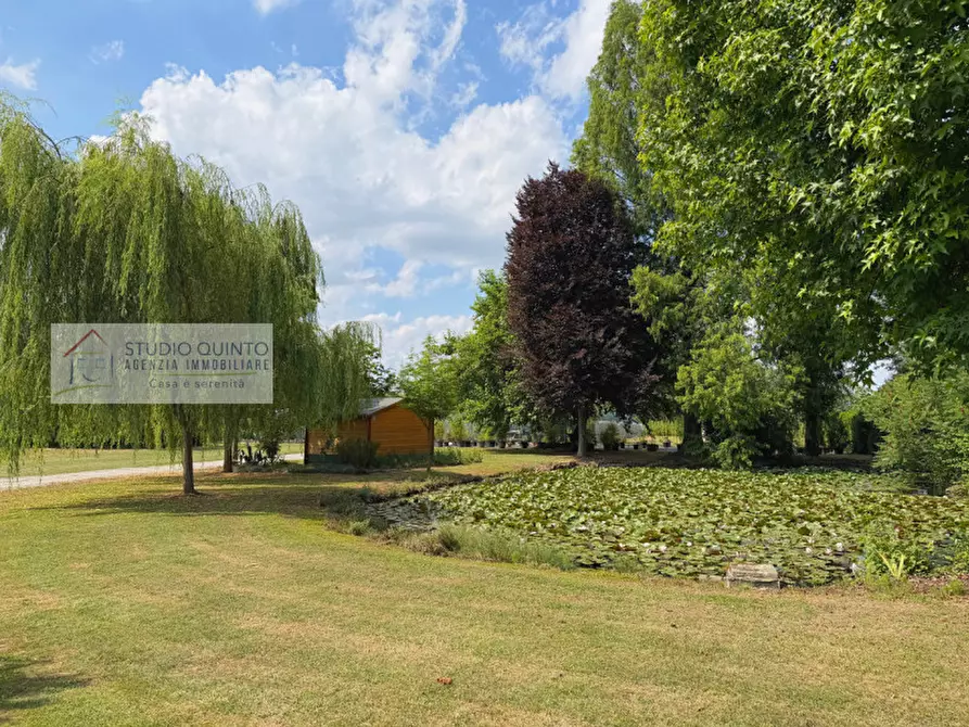 Immagine 4 di Attività commerciale in vendita  a Quinto Di Treviso