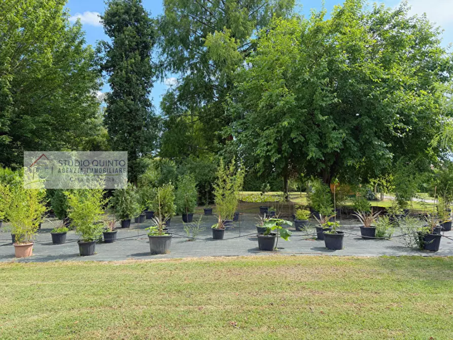 Immagine 12 di Attività commerciale in vendita  a Quinto Di Treviso