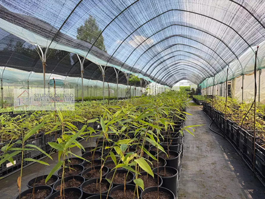 Immagine 23 di Attività commerciale in vendita  a Quinto Di Treviso