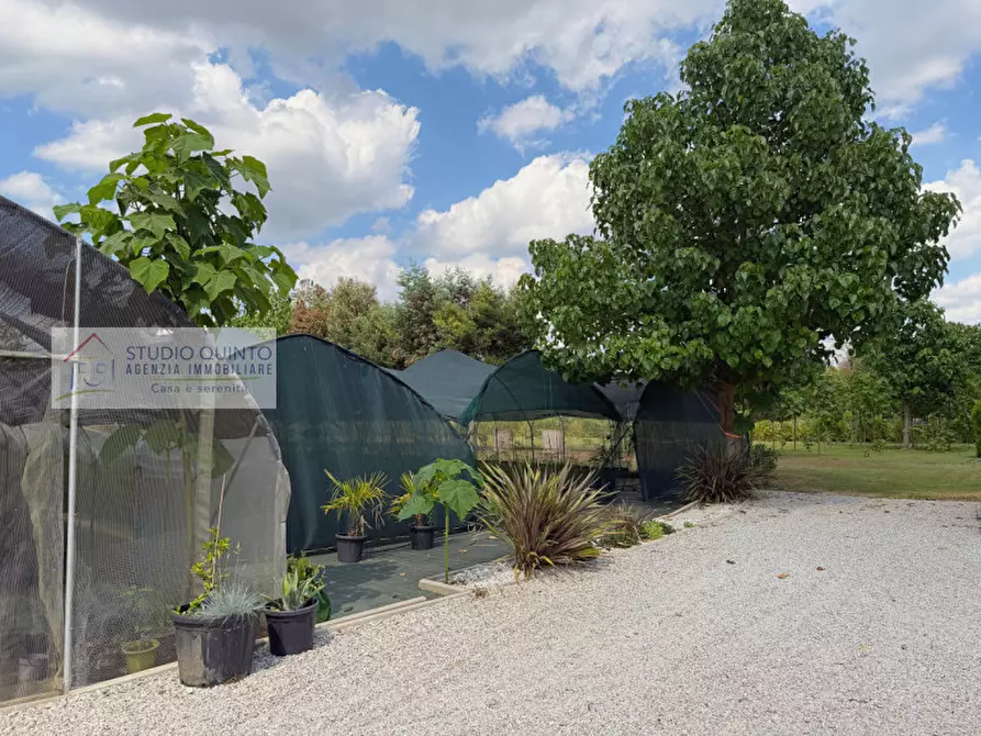 Immagine 26 di Attività commerciale in vendita  a Quinto Di Treviso