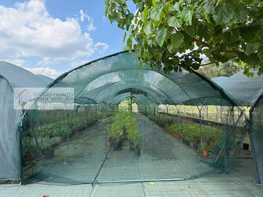 Immagine 28 di Attività commerciale in vendita  a Quinto Di Treviso