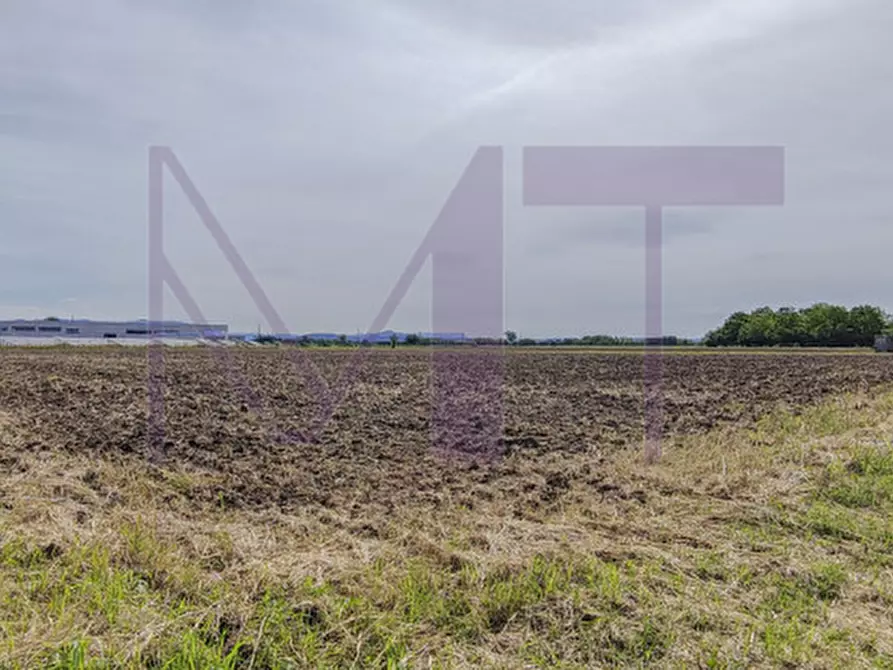 Immagine 11 di Terreno in vendita  in Via Aquileia 15 a San Vito Al Torre