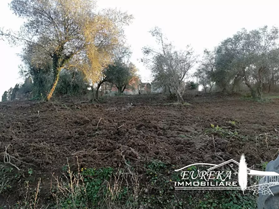 Immagine 2 di Rustico / casale in vendita  in Gioiella a Castiglione Del Lago