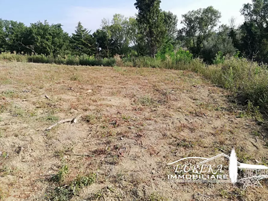 Immagine 4 di Rustico / casale in vendita  in Gioiella a Castiglione Del Lago