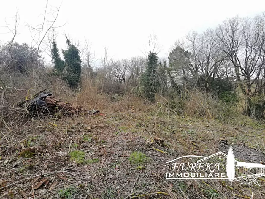Immagine 5 di Rustico / casale in vendita  in Gioiella a Castiglione Del Lago