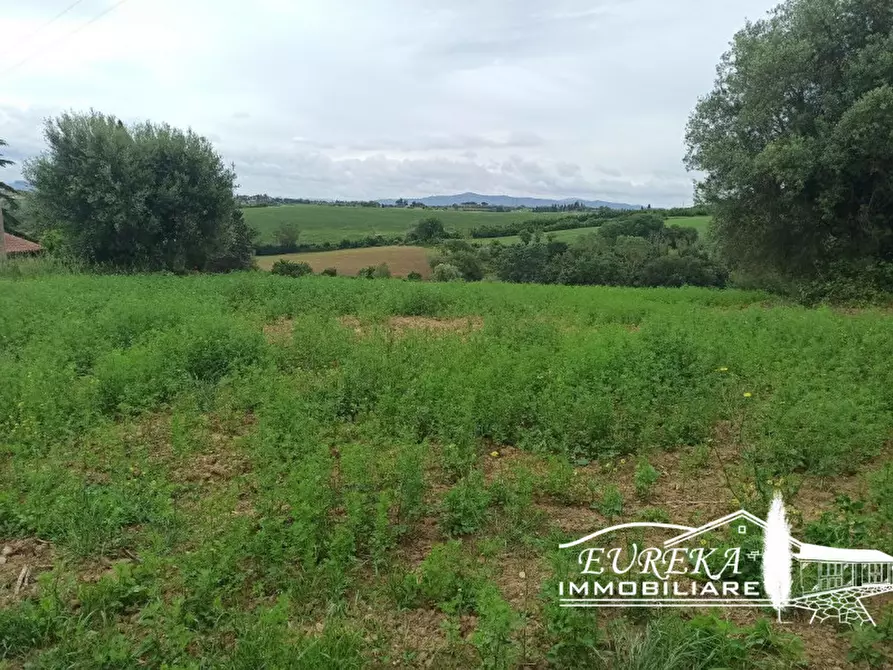 Immagine 8 di Rustico / casale in vendita  in Gioiella a Castiglione Del Lago