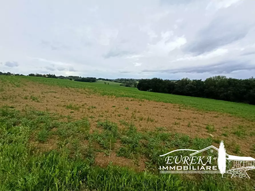 Immagine 10 di Rustico / casale in vendita  in Gioiella a Castiglione Del Lago