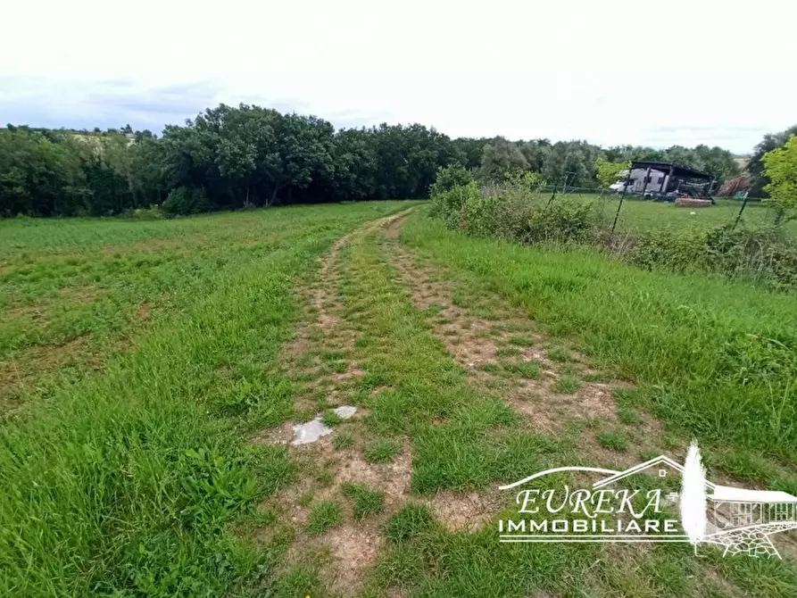 Immagine 12 di Rustico / casale in vendita  in Gioiella a Castiglione Del Lago