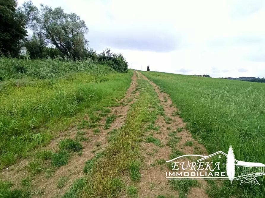 Immagine 13 di Rustico / casale in vendita  in Gioiella a Castiglione Del Lago