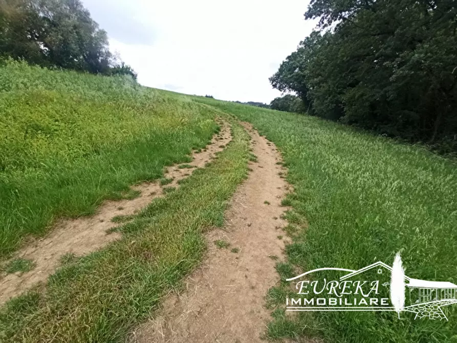 Immagine 14 di Rustico / casale in vendita  in Gioiella a Castiglione Del Lago