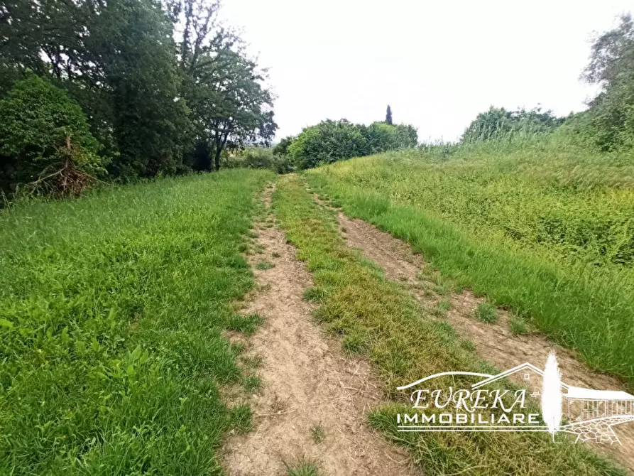 Immagine 15 di Rustico / casale in vendita  in Gioiella a Castiglione Del Lago