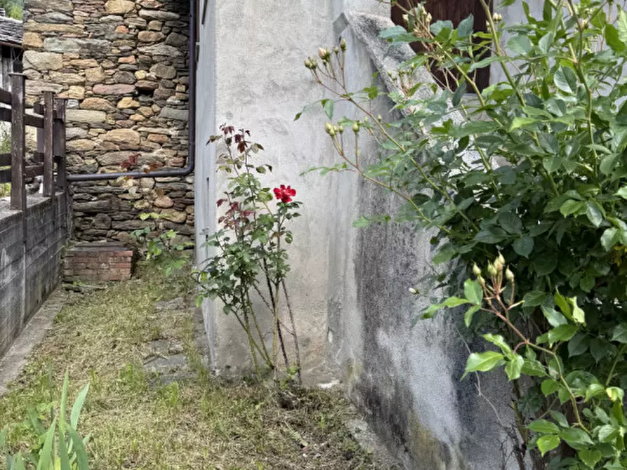 Immagine 32 di Casa indipendente in vendita  in Borgata Saretto a Perosa Argentina