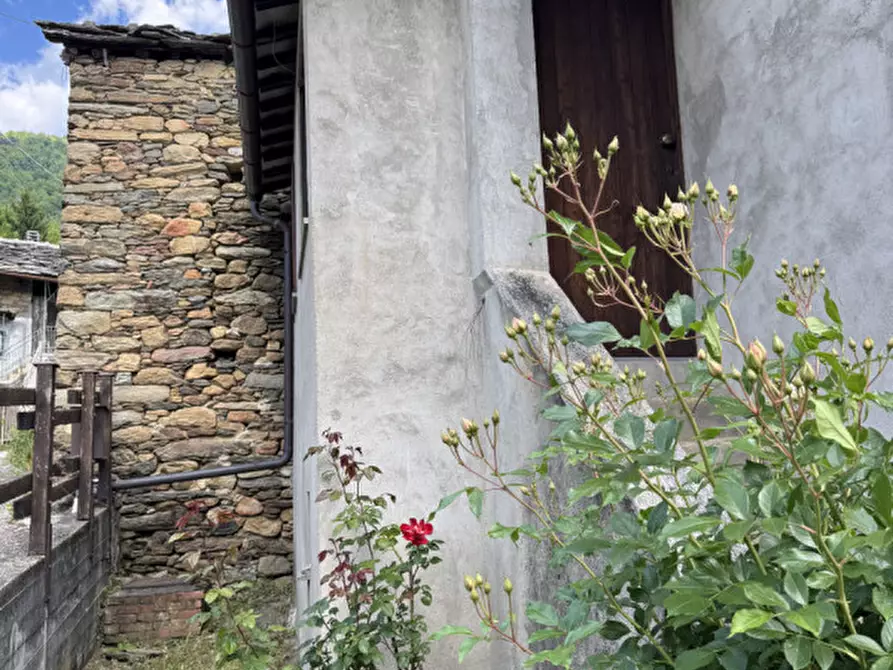 Immagine 33 di Casa indipendente in vendita  in Borgata Saretto a Perosa Argentina