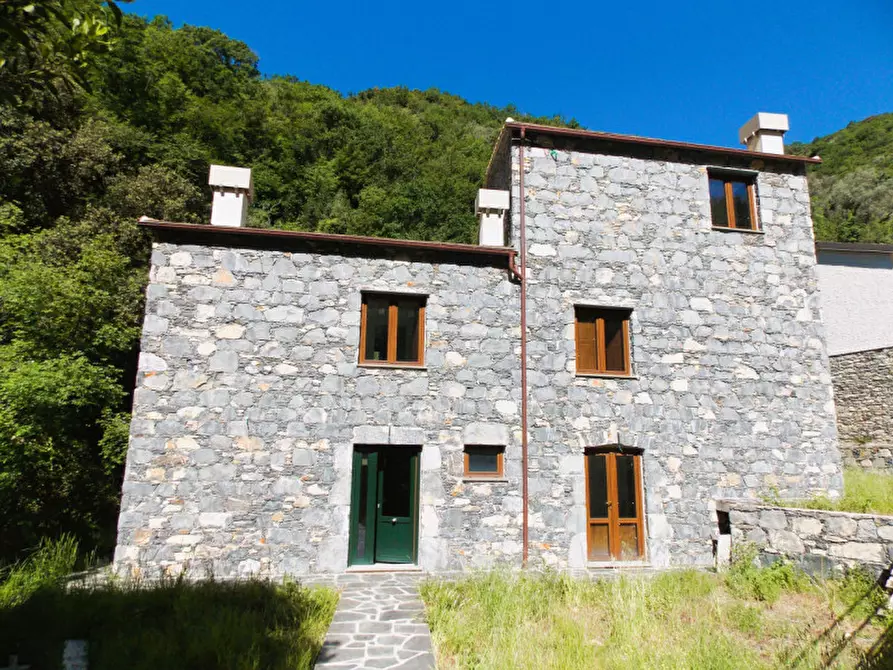 Immagine 2 di Casa indipendente in vendita  in Via Banchi a Avegno