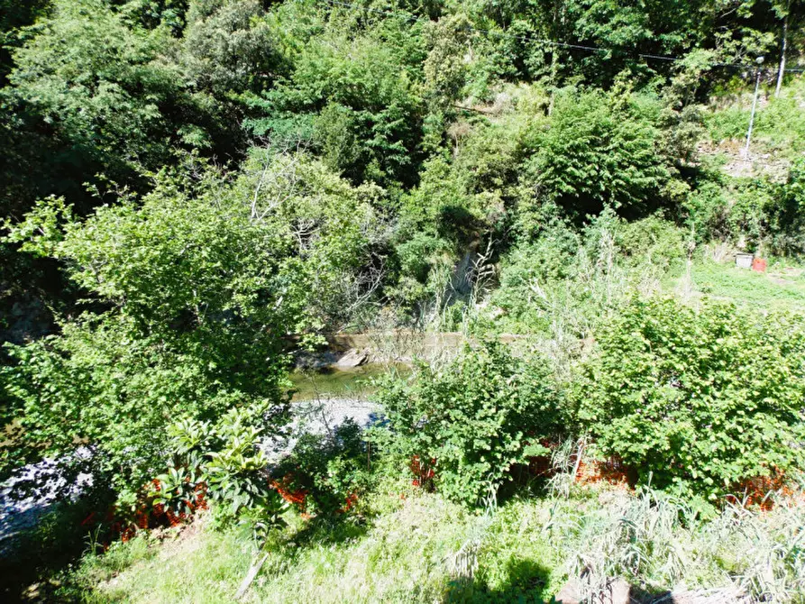 Immagine 7 di Casa indipendente in vendita  in Via Banchi a Avegno