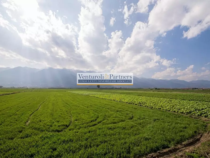 Immagine 2 di Terreno in vendita  in Via Corte Ferrarini a Lonato del Garda