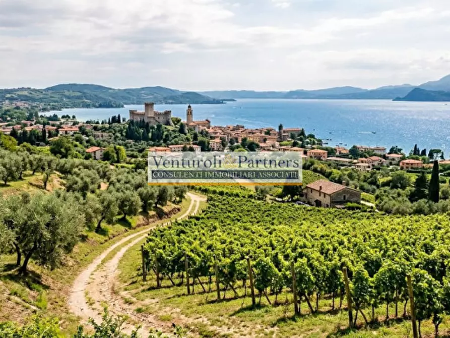 Immagine 7 di Terreno in vendita  in Via Corte Ferrarini a Lonato del Garda