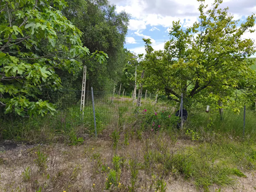 Immagine 18 di Casa indipendente in vendita  in SANTA CRISTINA14 a Montecassiano