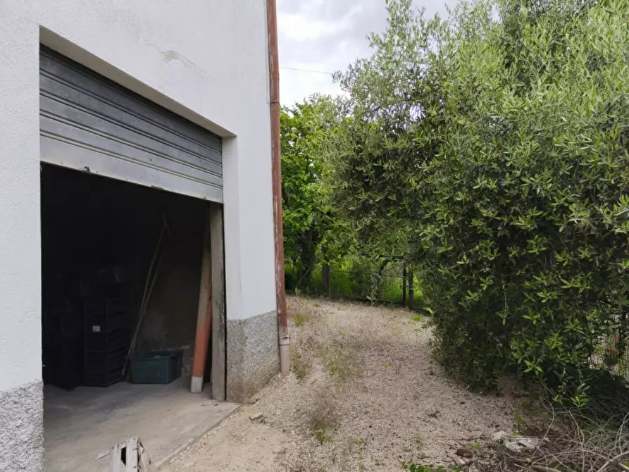 Immagine 23 di Casa indipendente in vendita  in SANTA CRISTINA14 a Montecassiano
