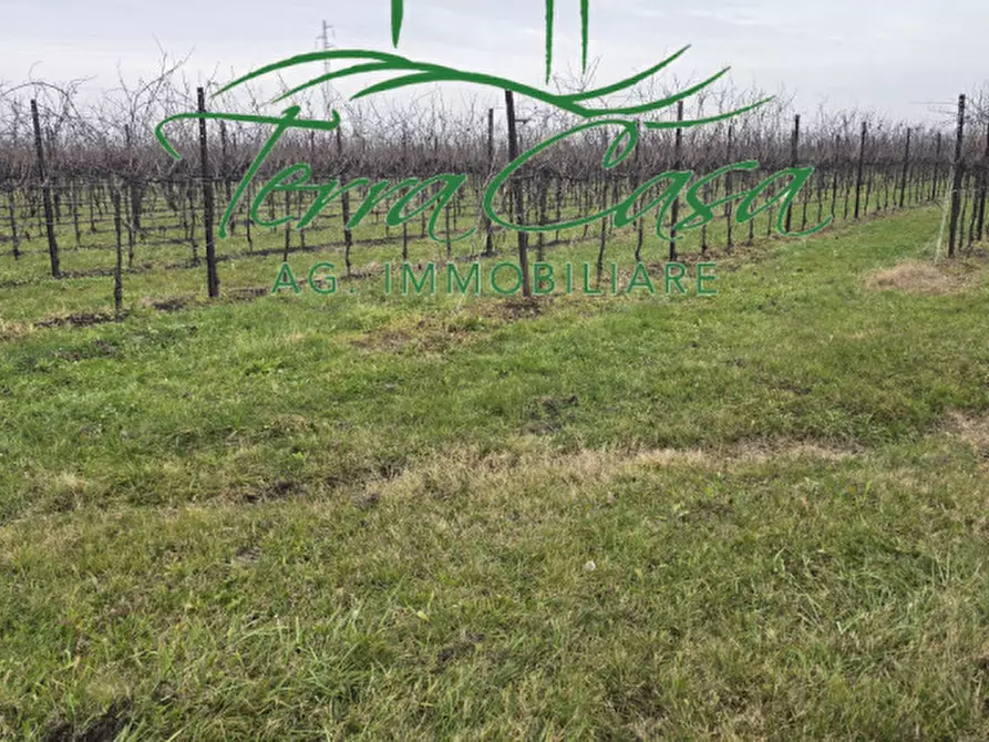 Immagine 1 di Terreno in vendita  a Cordignano