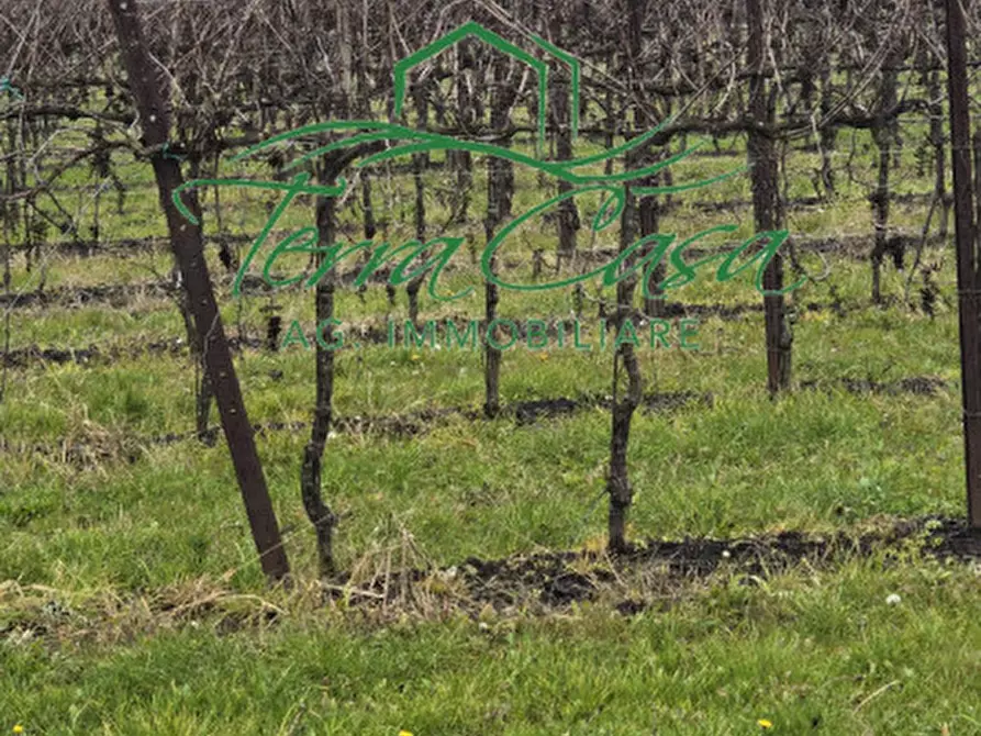 Immagine 3 di Terreno in vendita  a Cordignano