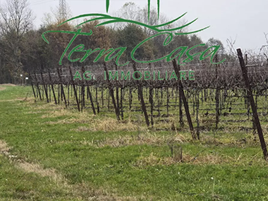 Immagine 4 di Terreno in vendita  a Cordignano
