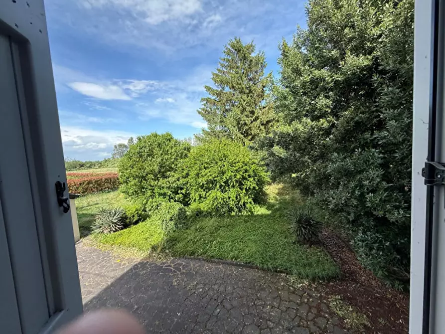 Immagine 23 di Appartamento in vendita  in Via Argini Nord, 31 a Montechiarugolo