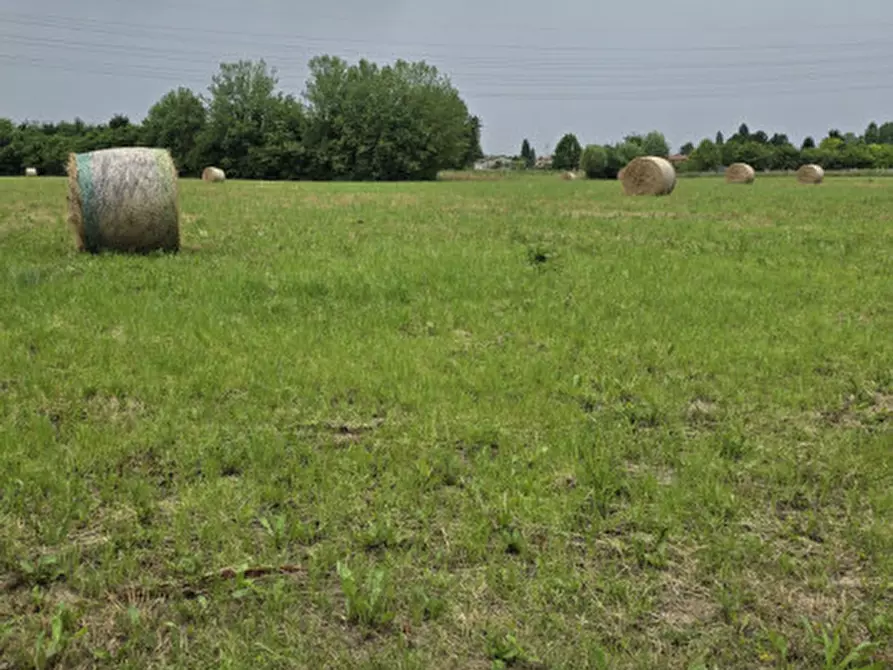 Immagine 2 di Terreno in vendita  a Carbonera
